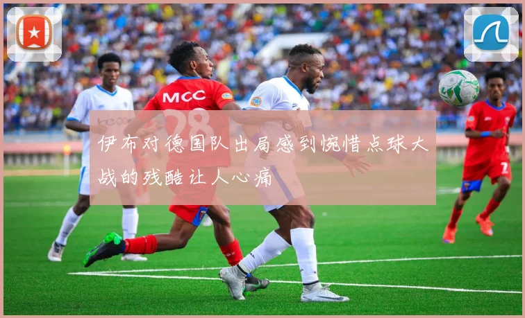 伊布对德国队出局感到惋惜点球大战的残酷让人心痛